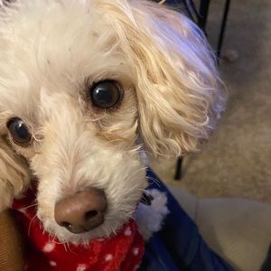 Meet your Posher, Jill